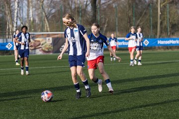 Bild 357 - wBJ Hamburger SV - Hertha BSC : Ergebnis: 2:1
